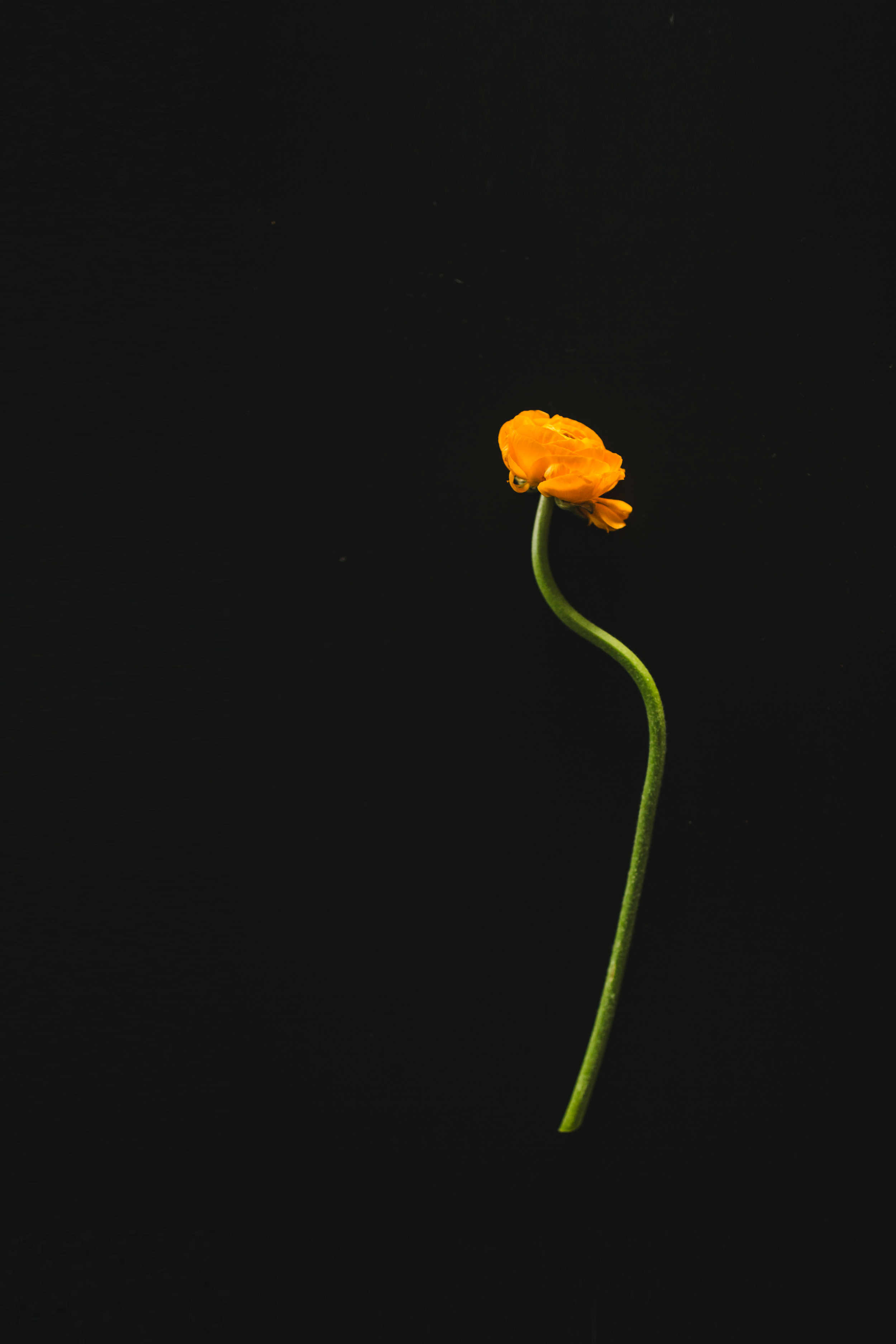 3Y5B7918.jpg
