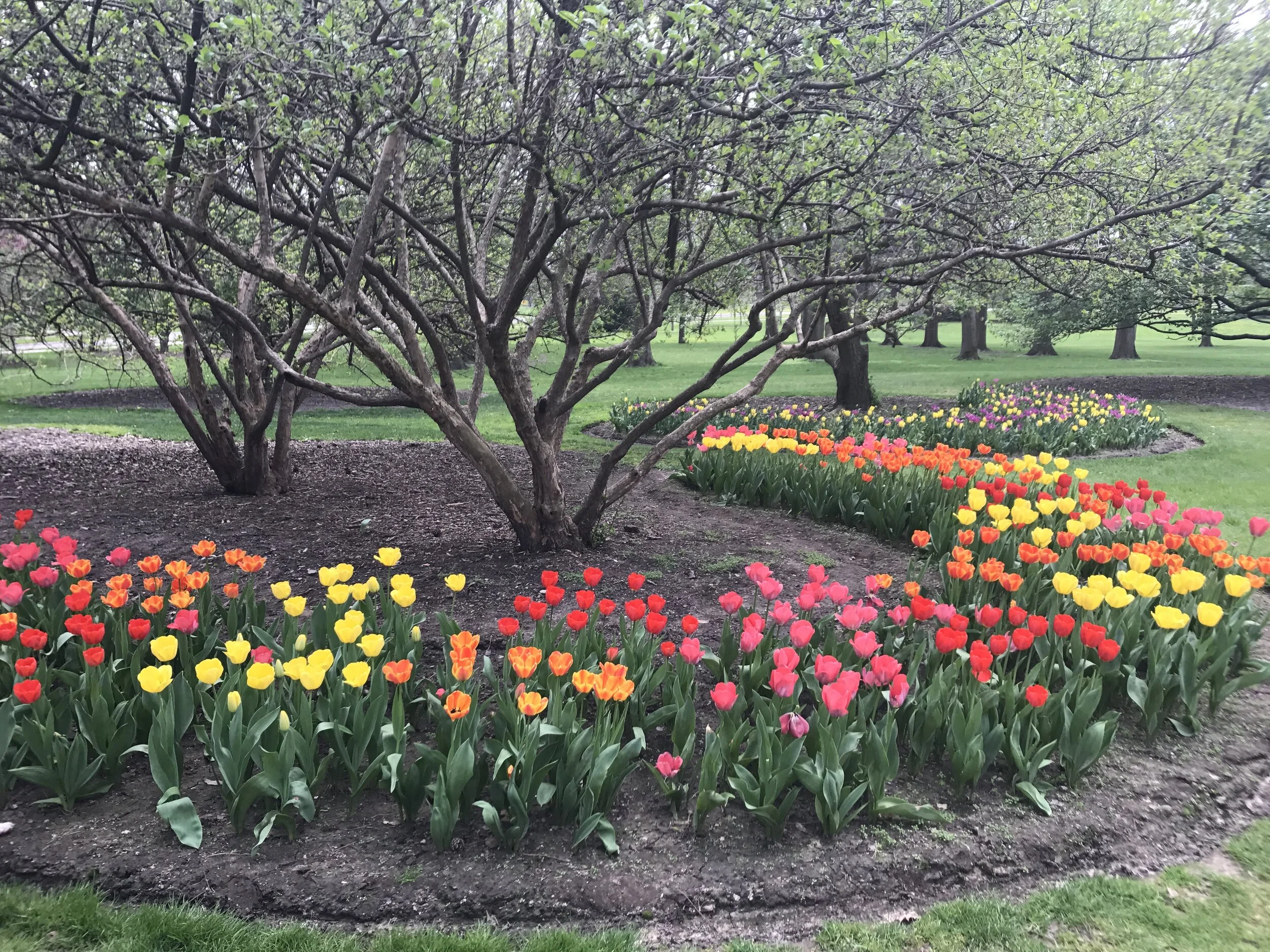 Live on Goods- Checking in!