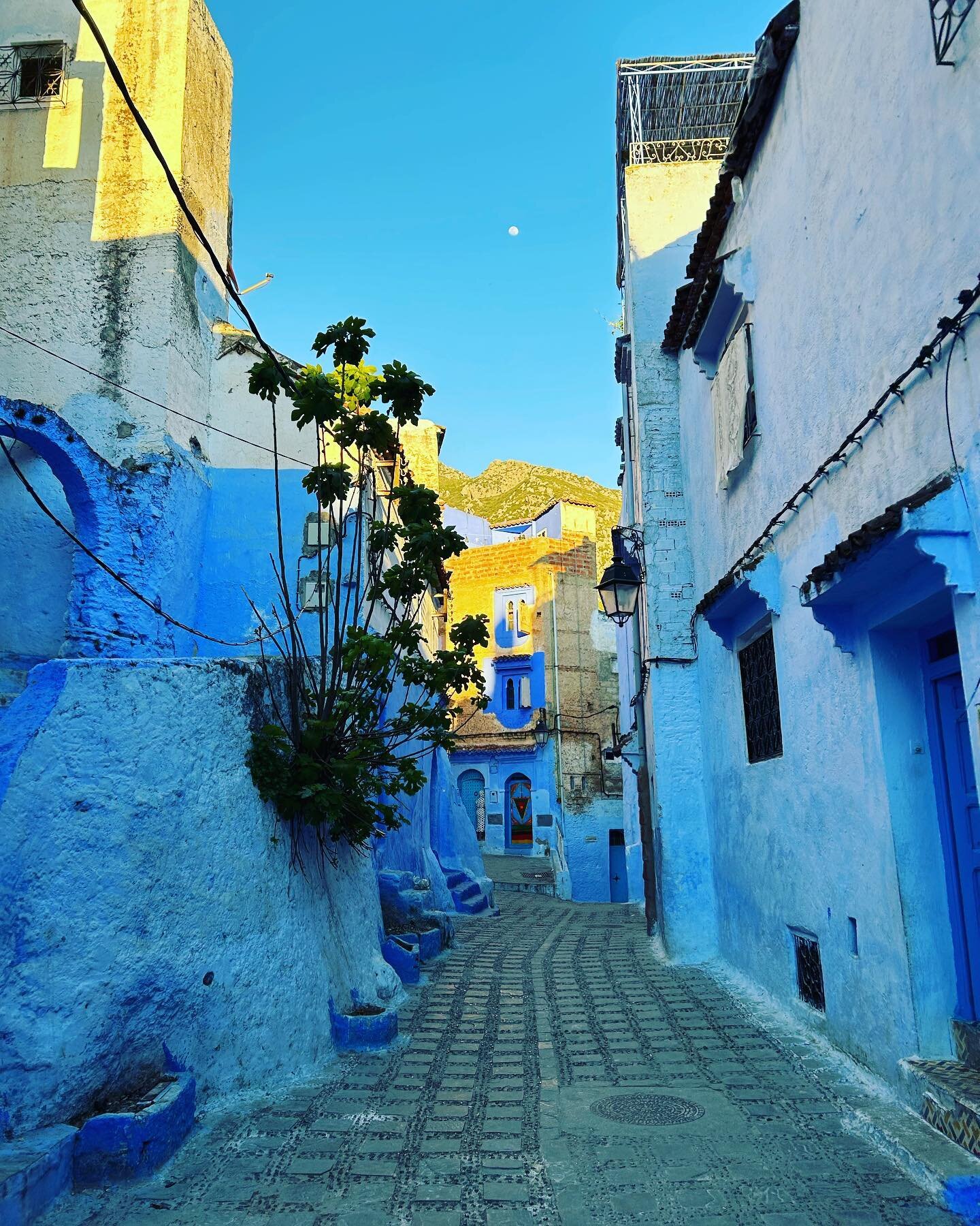 #chefchaouen the blue city! #morocco #travelgram #traveltheworld