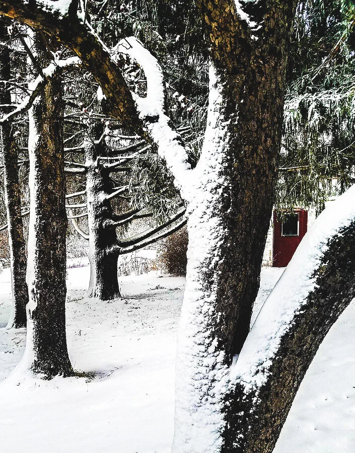 Best Little Christmas