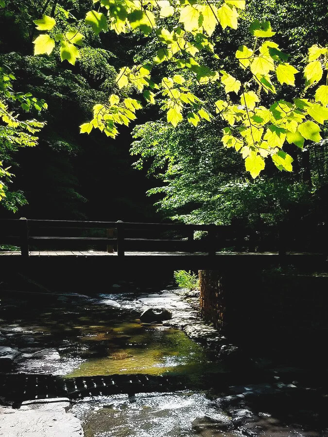 Walking my Sister Home, From Death to Life