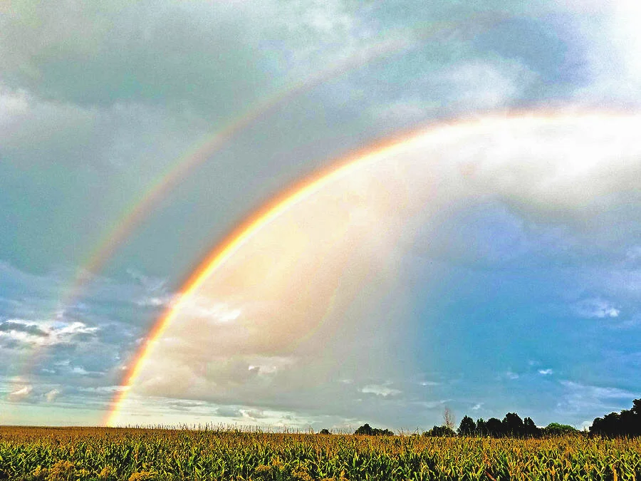 Created to Love: Johnny's Story