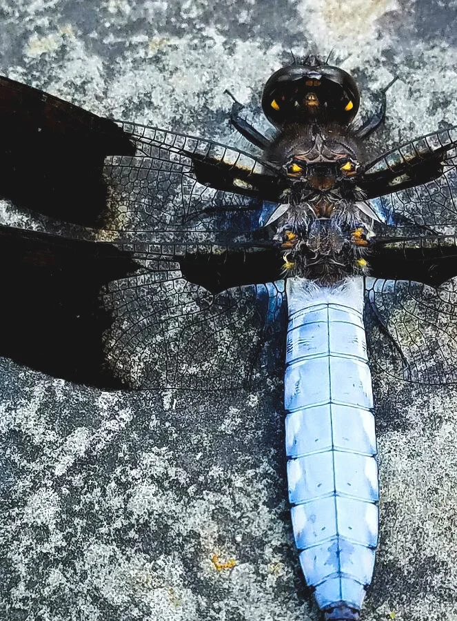 Religious Business 2002