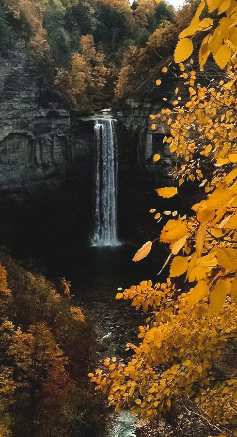 Busy Doing Nothing 2002