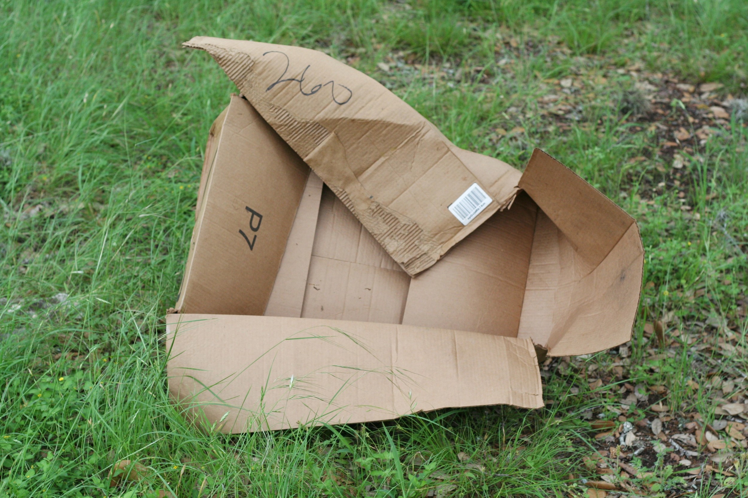 My nice little life plan fit neatly into my box. But Jesus blew up my box. Since He wanted to do immeasurable more, His plan did not fit.