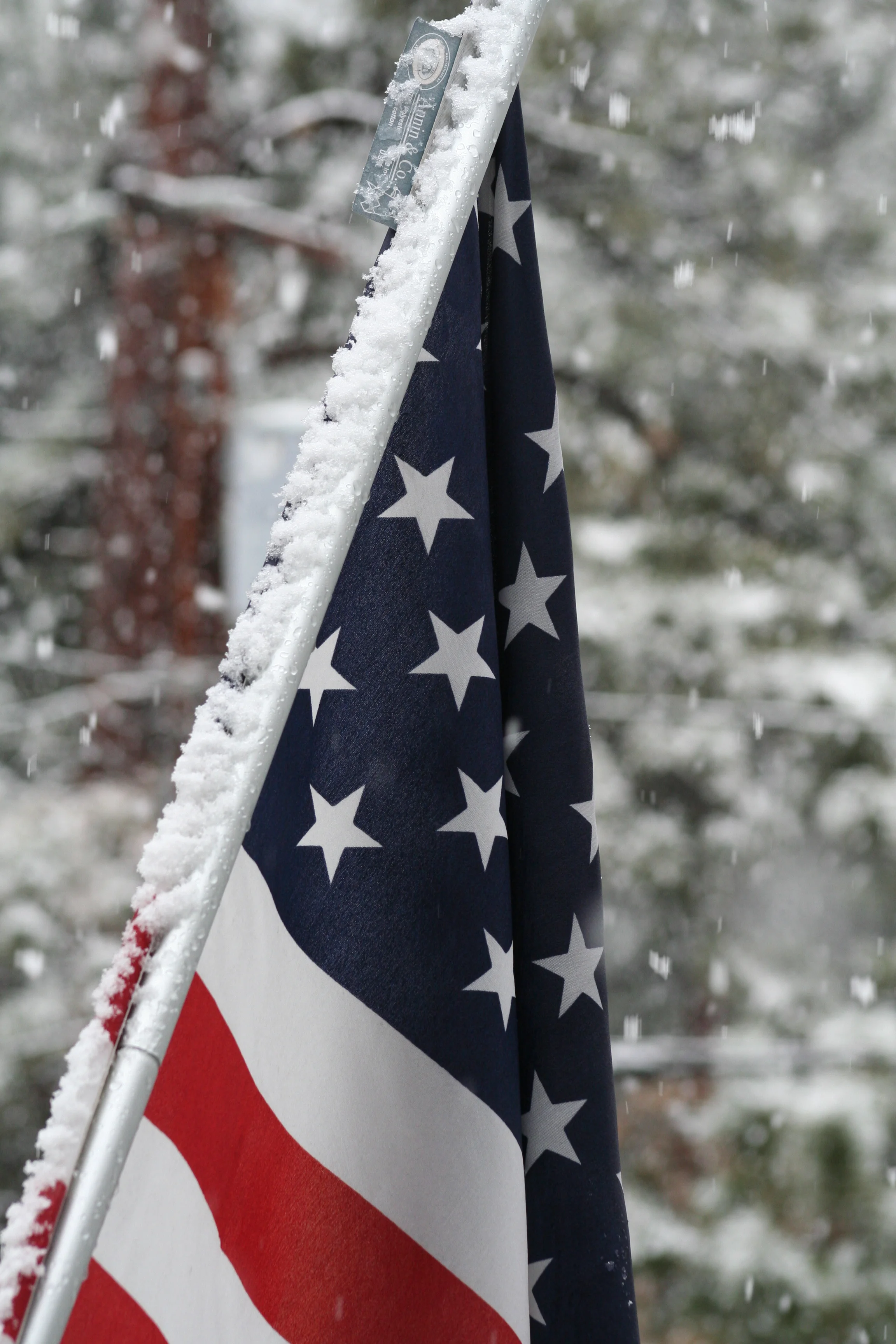 When I Can't Vote For Either Candidate, What Am I To Do?