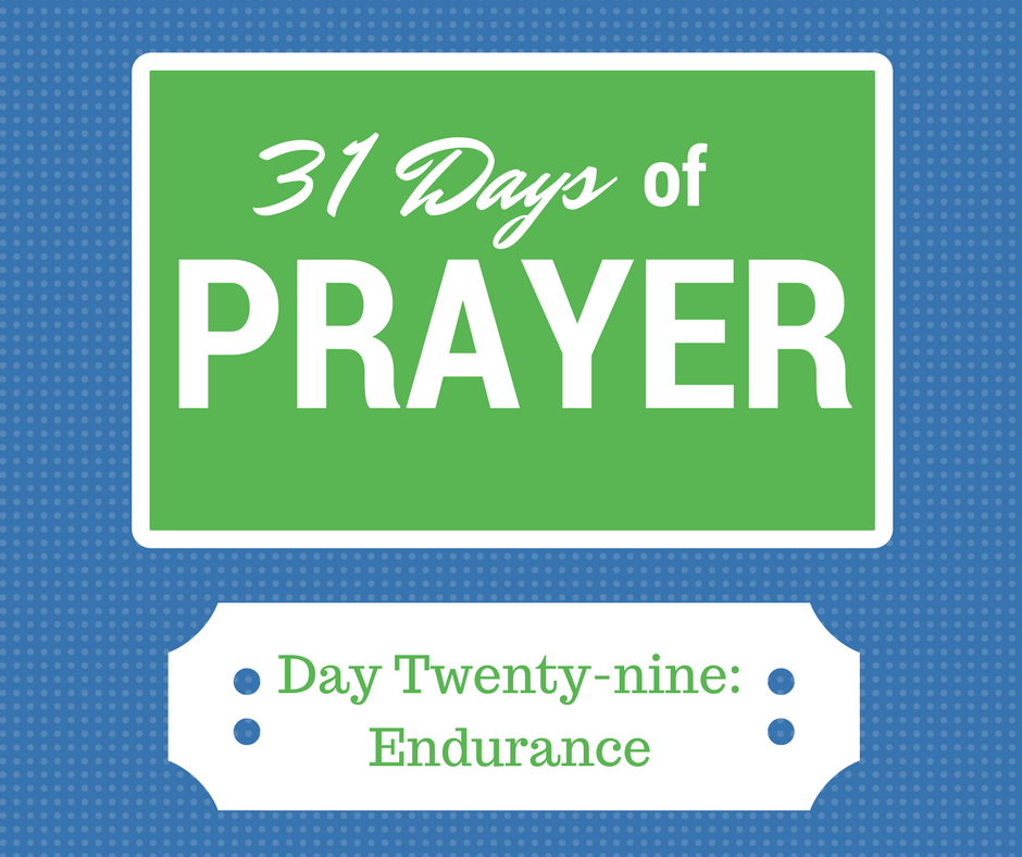Praying in 2017: Day 29- Asking For Endurance