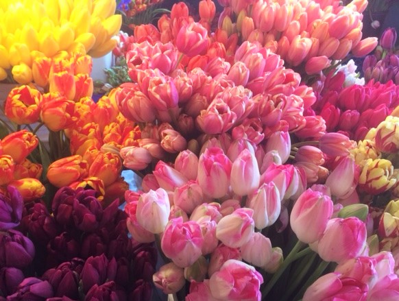Here are my Happy Mother's Day flowers to you!