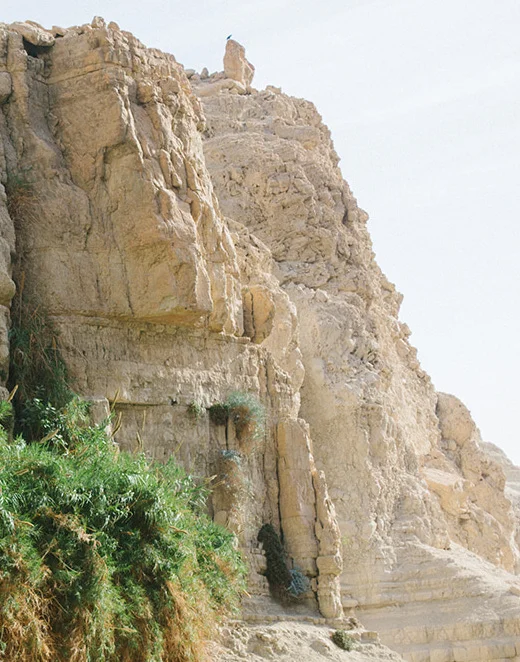 We don’t know what Samuel’s Ebenezer monument looked like. But rocks are an excellent way to remember God’s hand: sure, solid, steadfast, sturdy, and permanent. PC: Caleb Macias