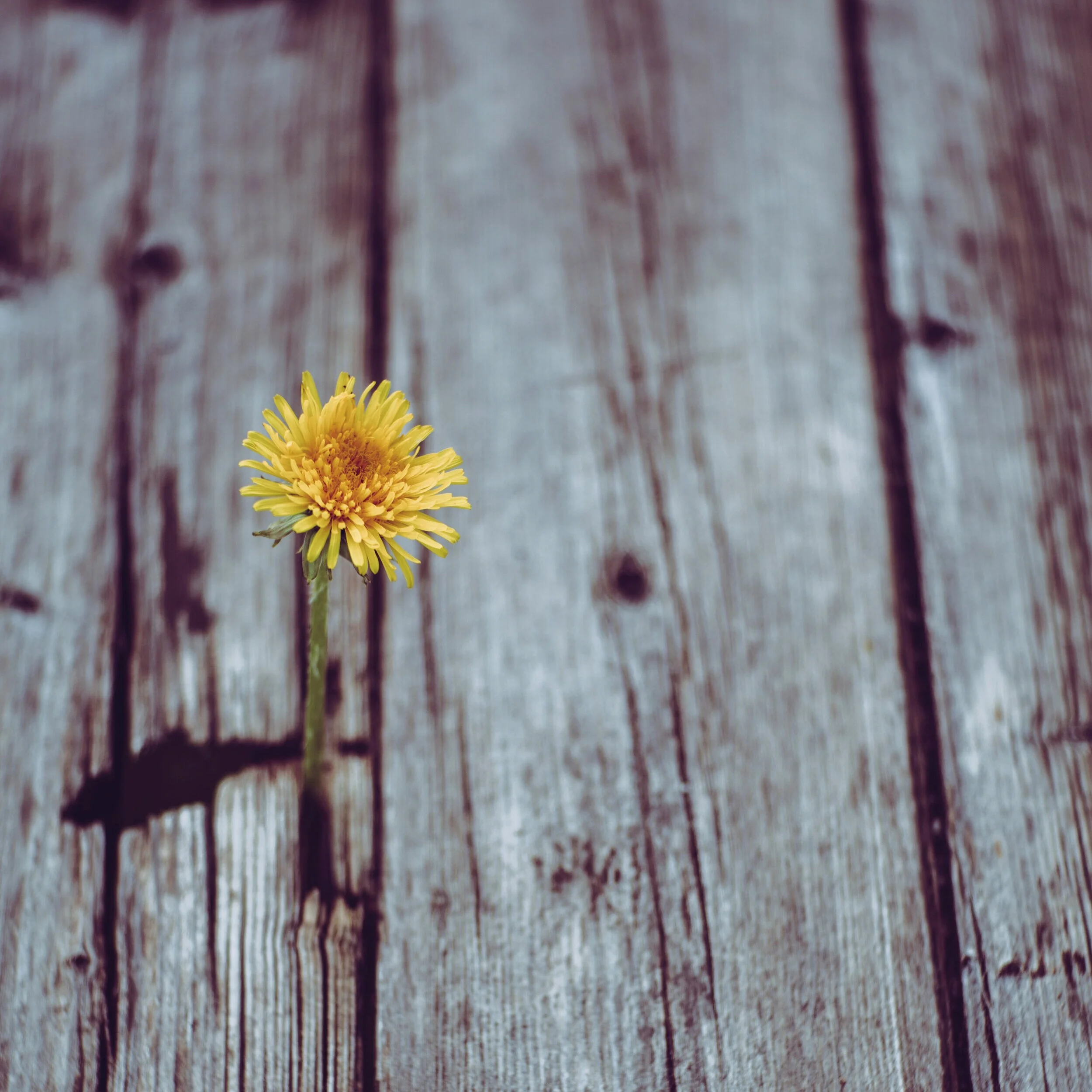 What Should I Do Today?