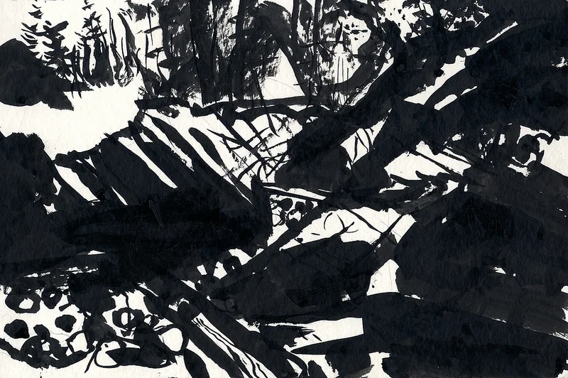 CANTO_1, ink, 12x9"