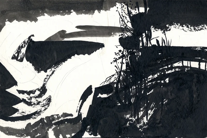 CANTO_1, ink, 12x9"