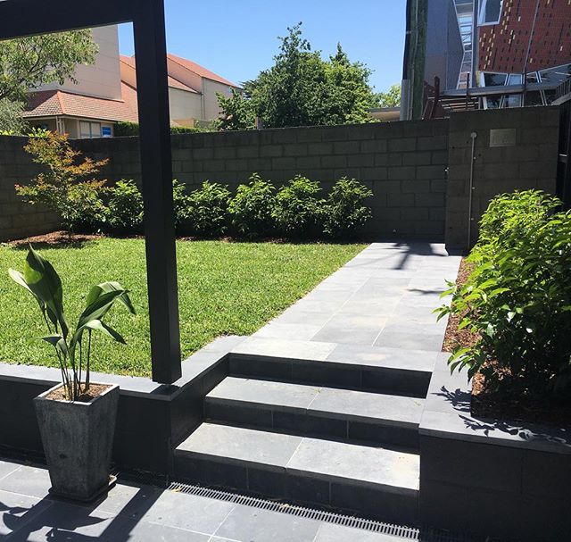 A low maintenance front yard for our client in Hawthorn East. Ft. Black Limestone paving, Sir Walter Buffalo turf, a great selection of screening plants and of course easy to use irrigation 💦🍃🌺
#landscaping #paving #irrigation #plants #plantmark #