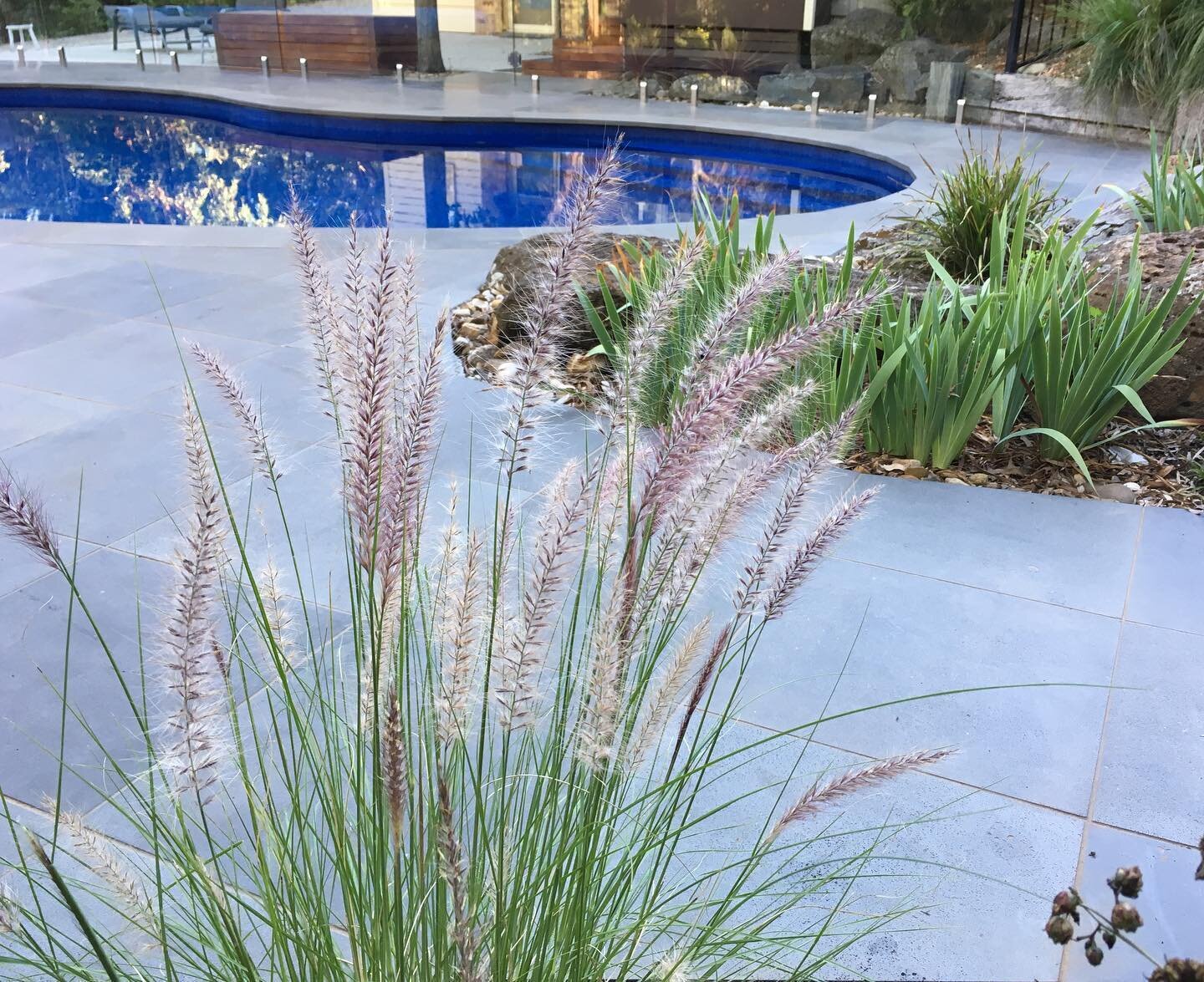 If you couldn&rsquo;t already tell, we love paving bluestone!
We installed it around this kidney shaped pool in Viewbank a while back.