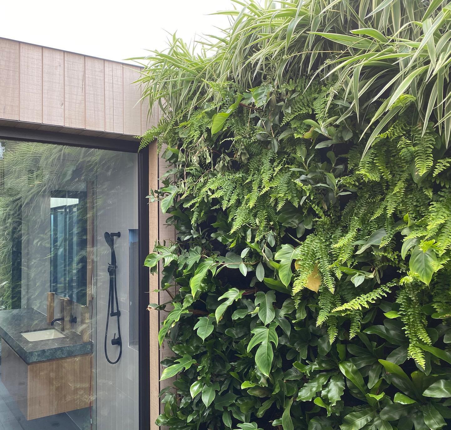 Just imagine looking out the bathroom window and seeing this 👀 
Builder @built.by.guild 
Green Wall Install @easternlandscapes 
Green Wall Supplier @martinkellockpotsnplanters 
Plant supply @biemond_nurseries