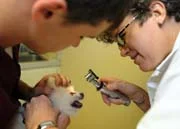 Doctor Emily Taylor examines a small dog while its owner holds it