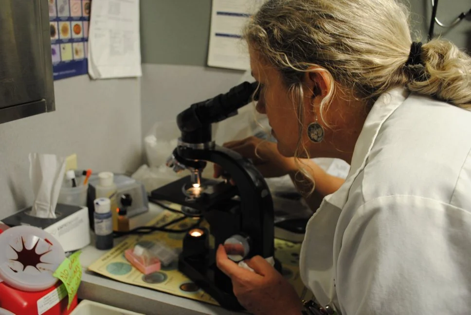 Doctor Emily Taylor examines a specimen through a microscope