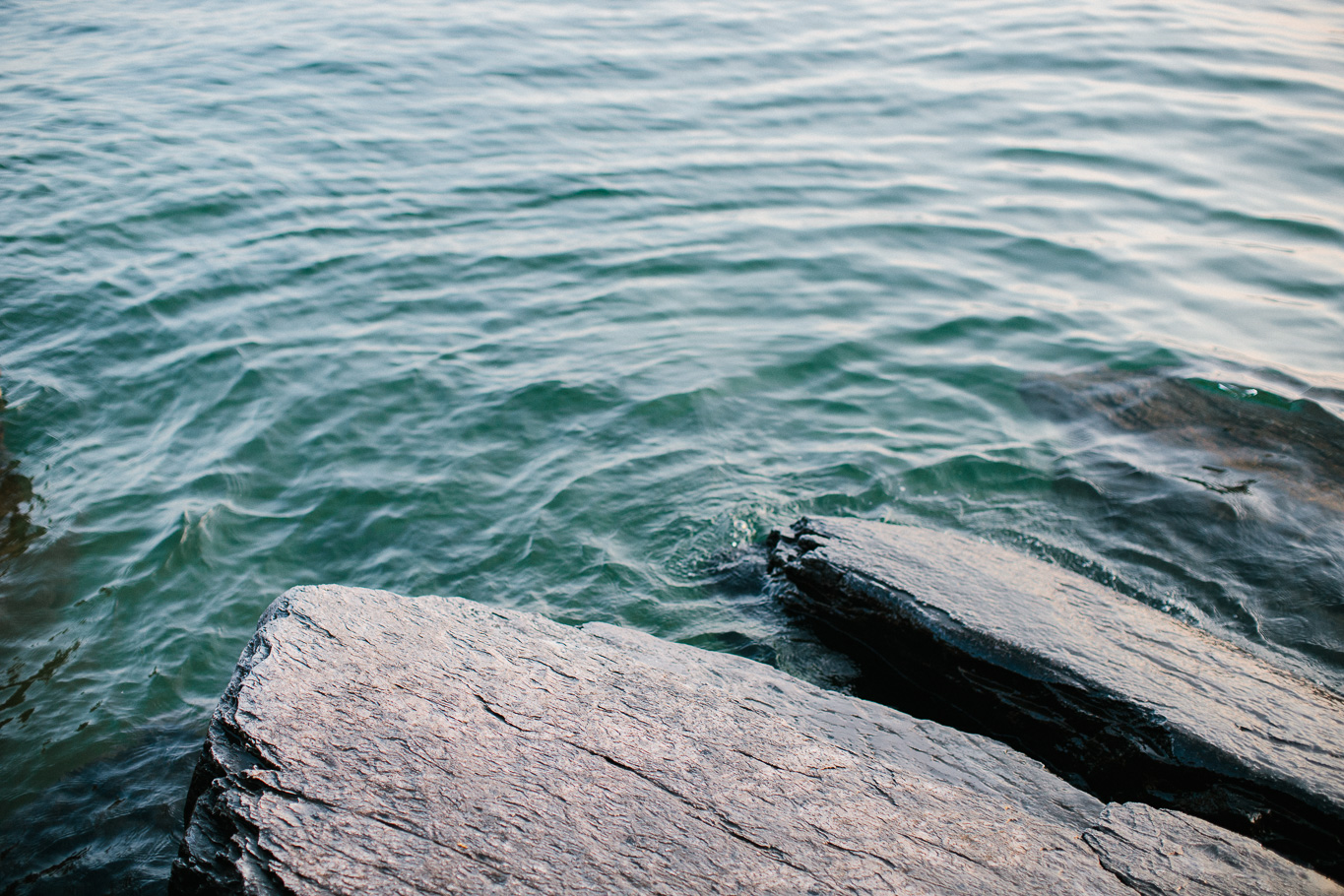 jessicalodienphotography-01.jpg
