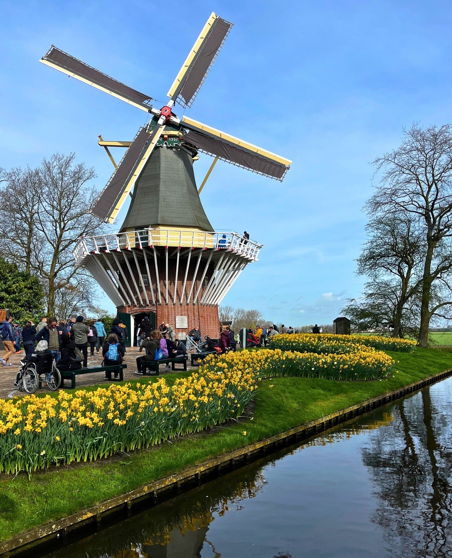 One of our amazing clients shared these photos with us from their recent trip to Europe! ⁠
⁠
They set sail on a river cruise with Viking Cruises on an itinerary called &quot;Tulips and Windmills&quot;, are you serious?? How cute does that sound??🌷⁠
