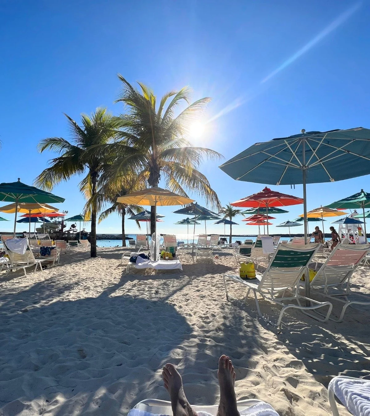 Be honest&hellip; how many of us are looking out the window at a snowstorm and wishing this was our morning view instead? 🌴☀️
This is what mornings look like at Disney's Castaway Cay.

Turquoise water stretching for miles.
Soft sand instead of icy s