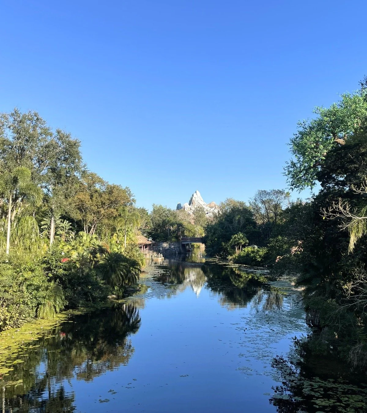 There&rsquo;s just something about the atmosphere in Africa at Disney's Animal Kingdom Theme Park. 🌿✨

From the music and architecture to the incredible food and entertainment, this area of the park feels completely immersive from the moment you wal