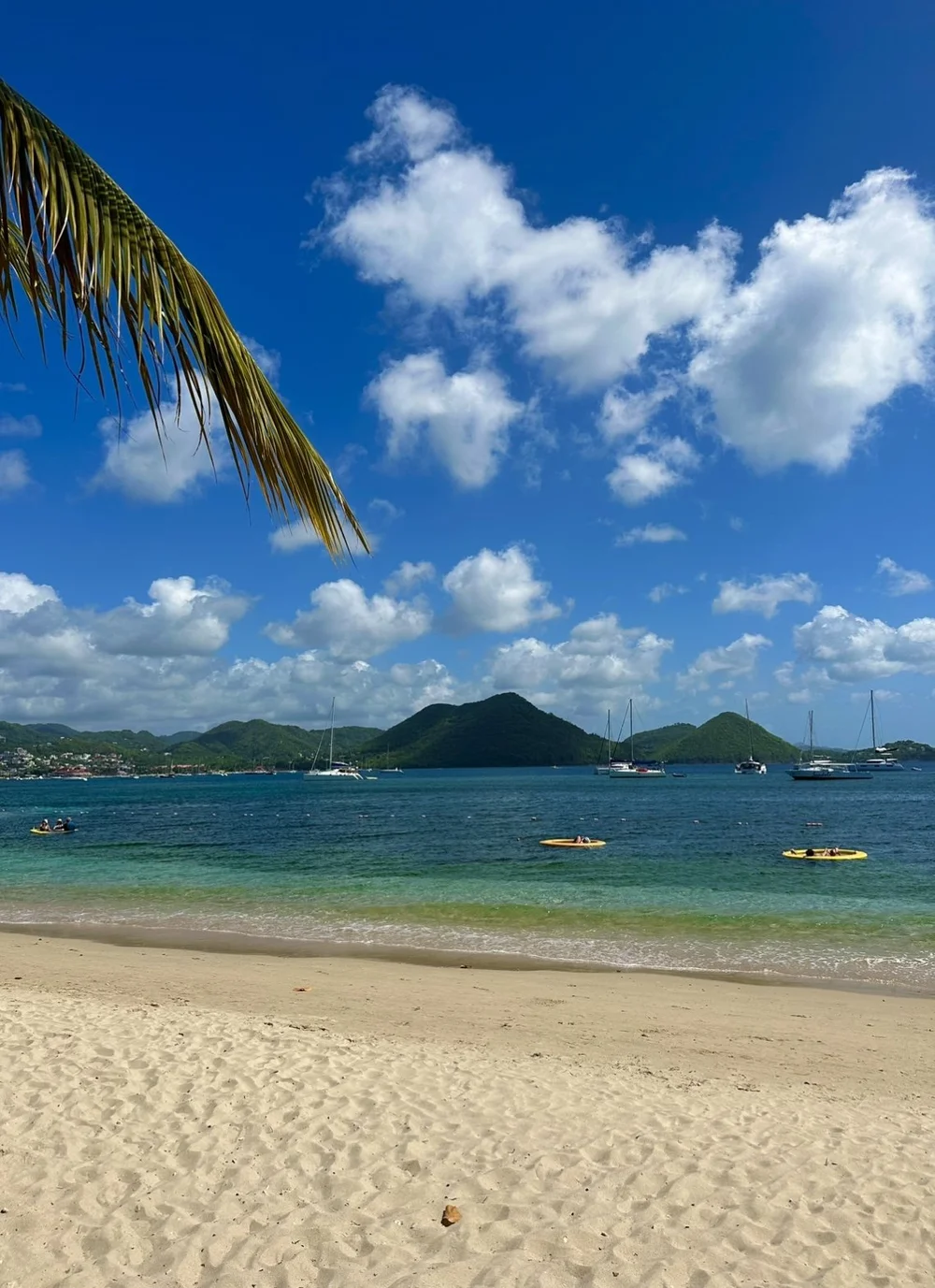 Our Fave Things About Sandals Halcyon Beach All Inclusive Resort in St ...