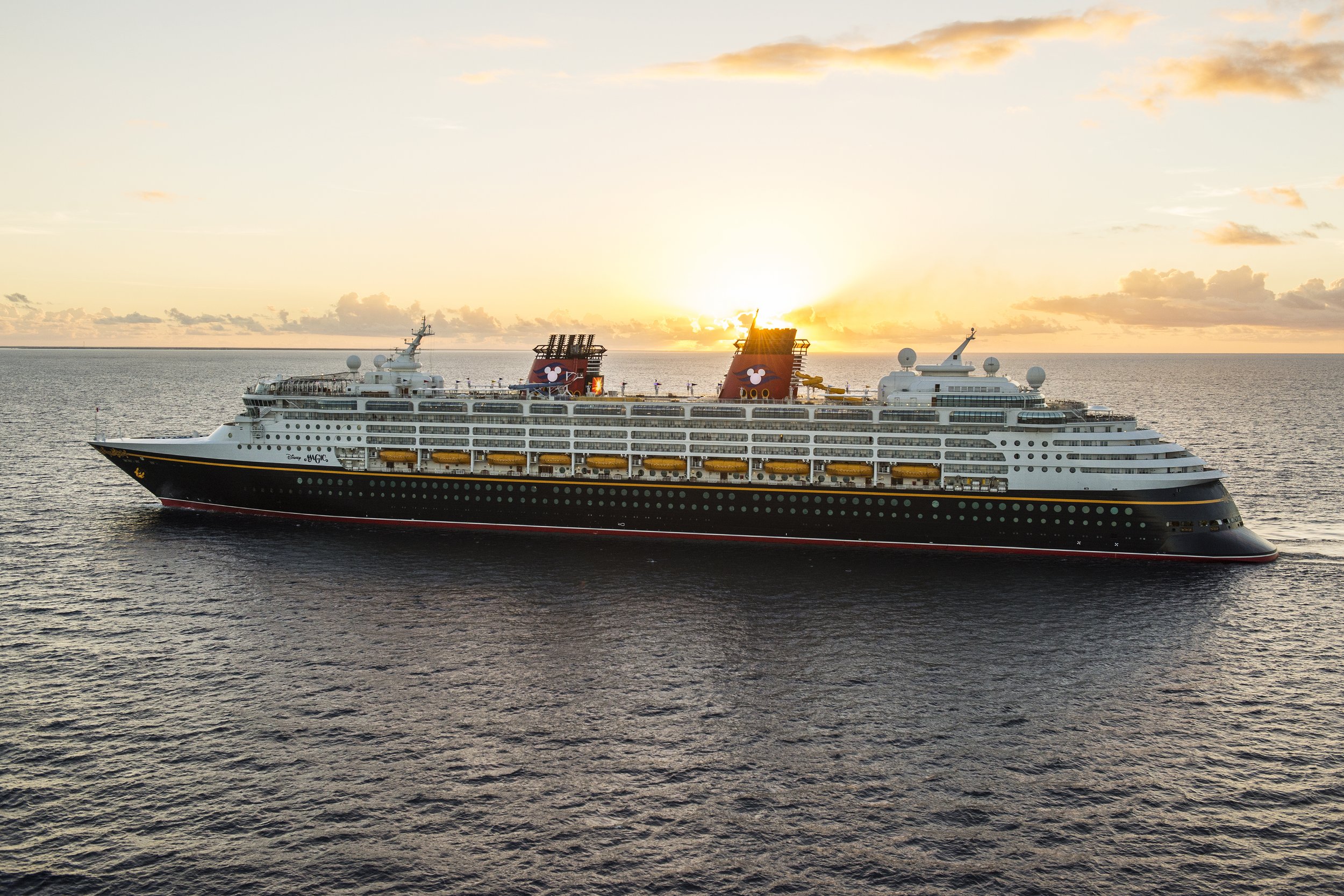 Meet the Disney Magic