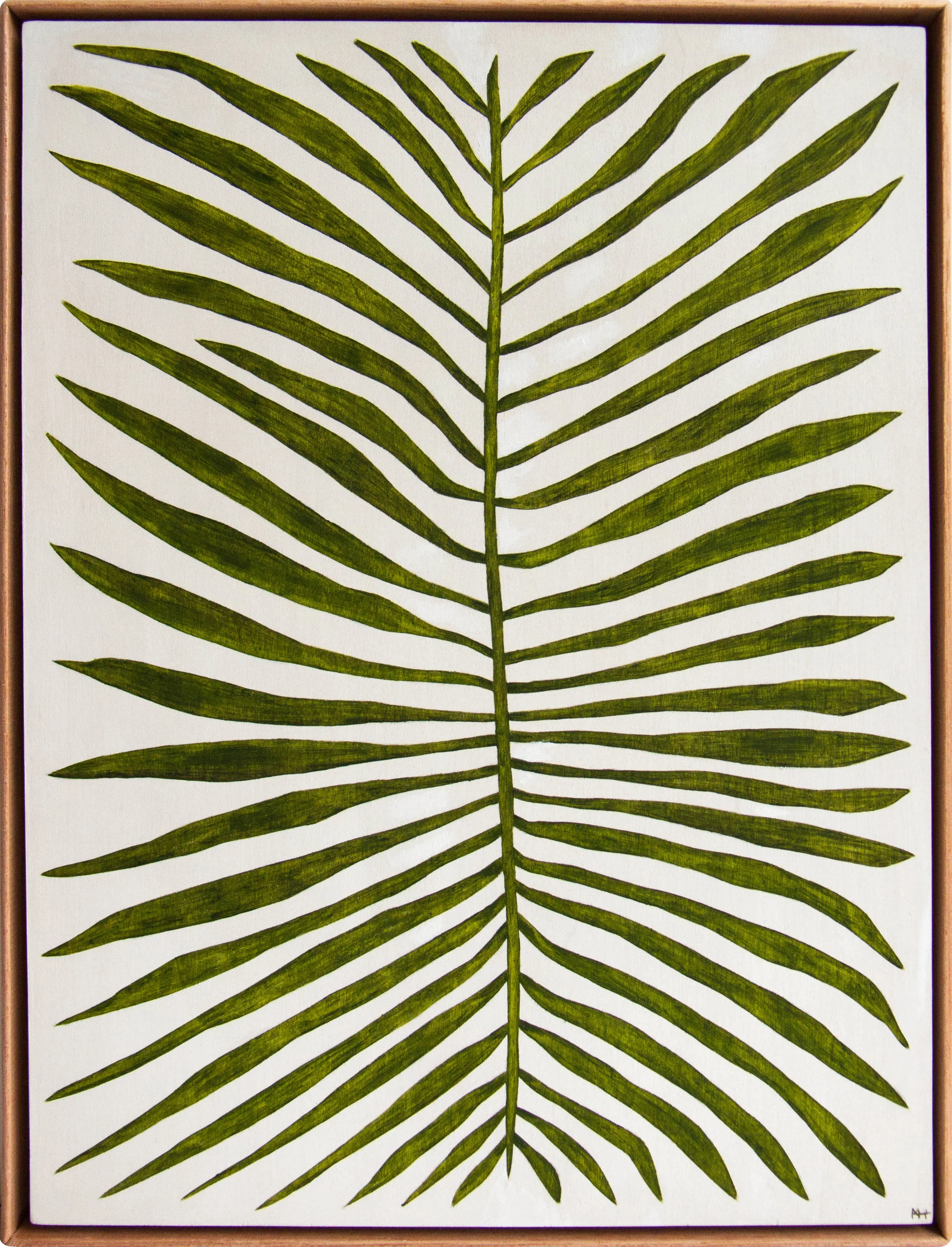 Polystichum Munitum1.jpg