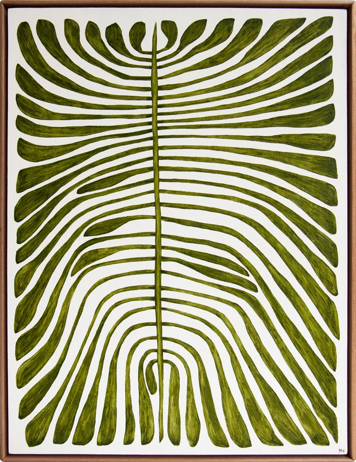 Dypsis.jpg