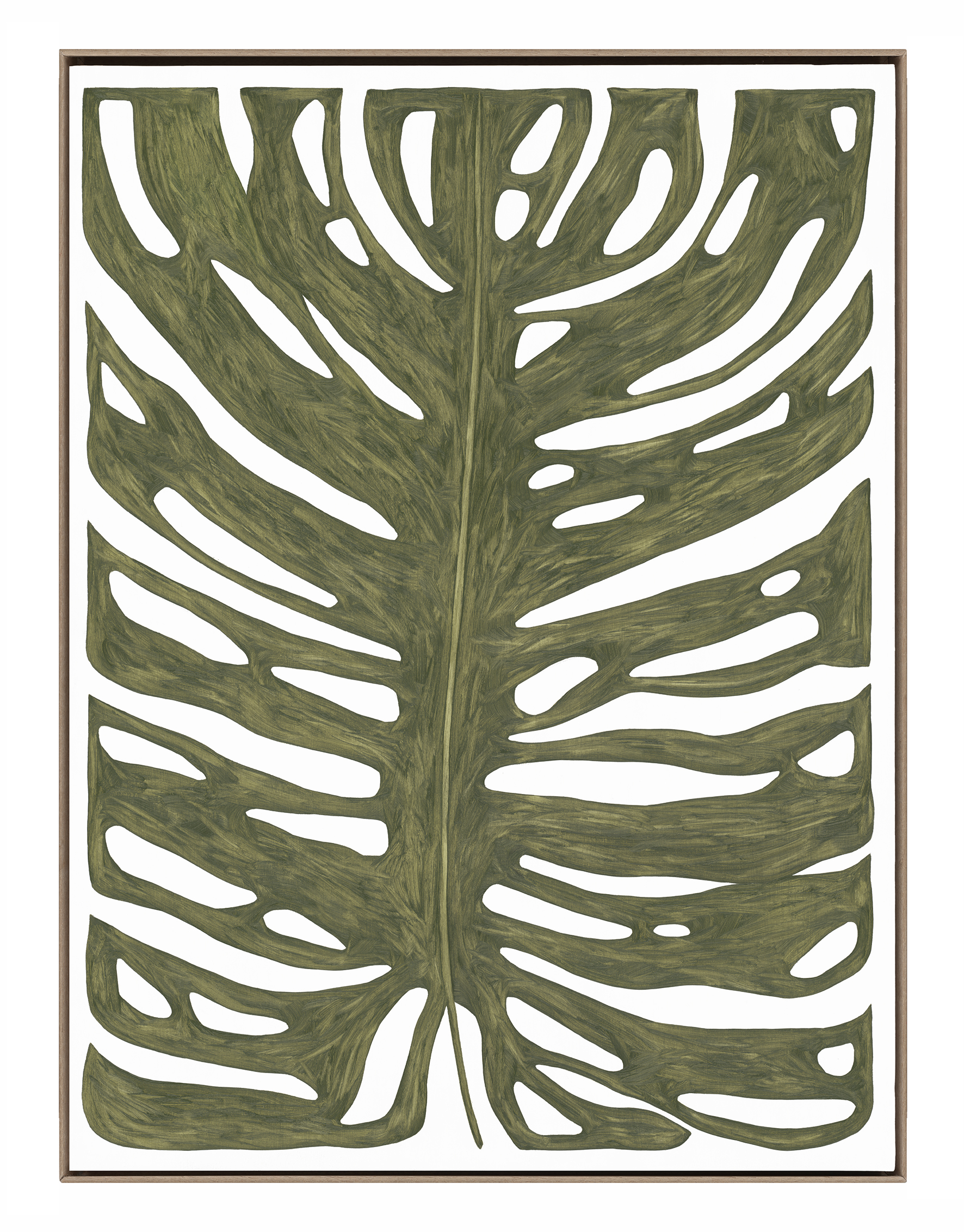 Title: Monstera Magnum 