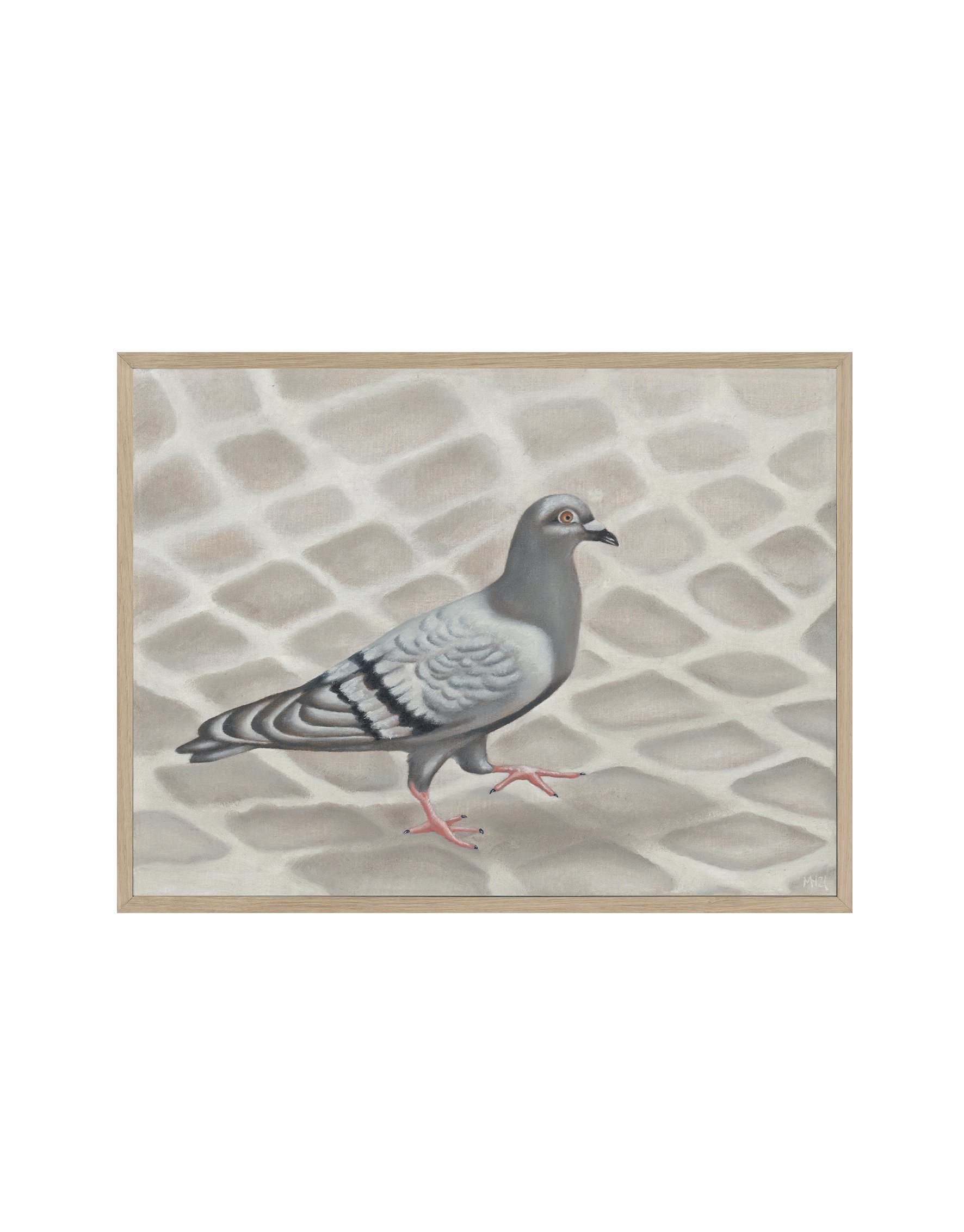 Title: Amsterdam Pigeon