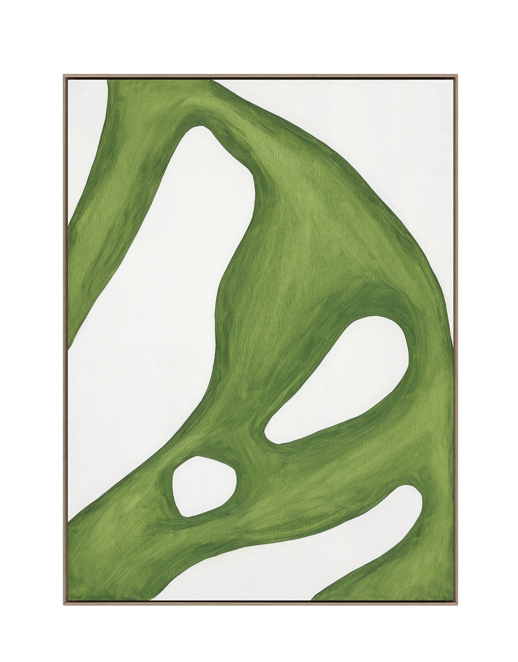 Title: Monstera Section