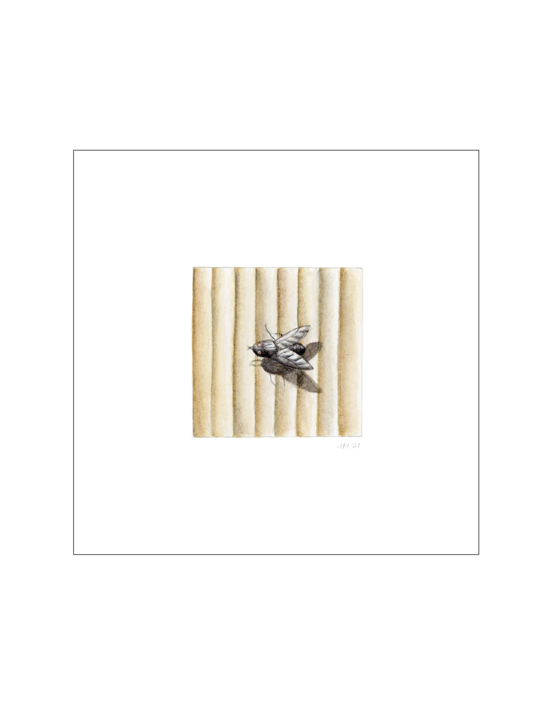 Balcony fly