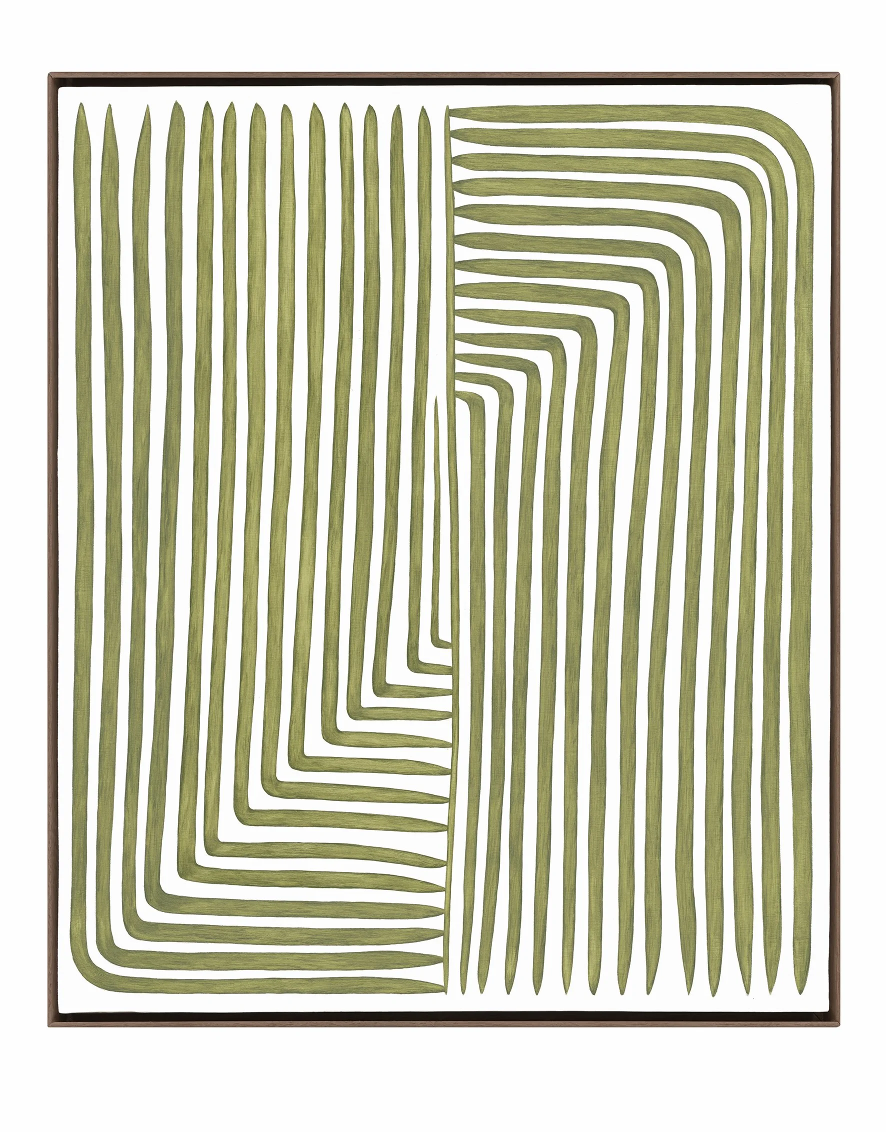 Sursus Deorsum Polypodiales