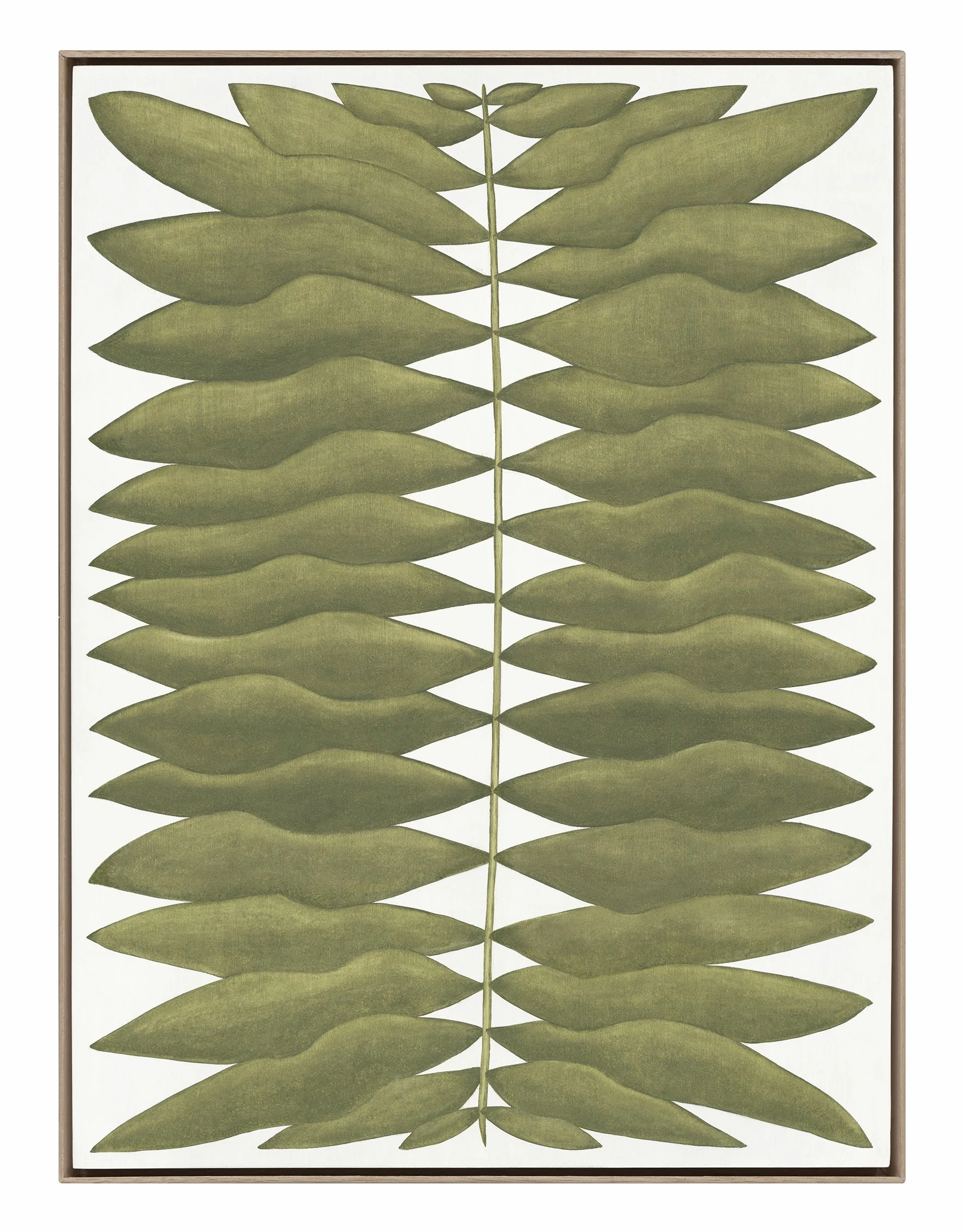 Expressus Polystiodrum