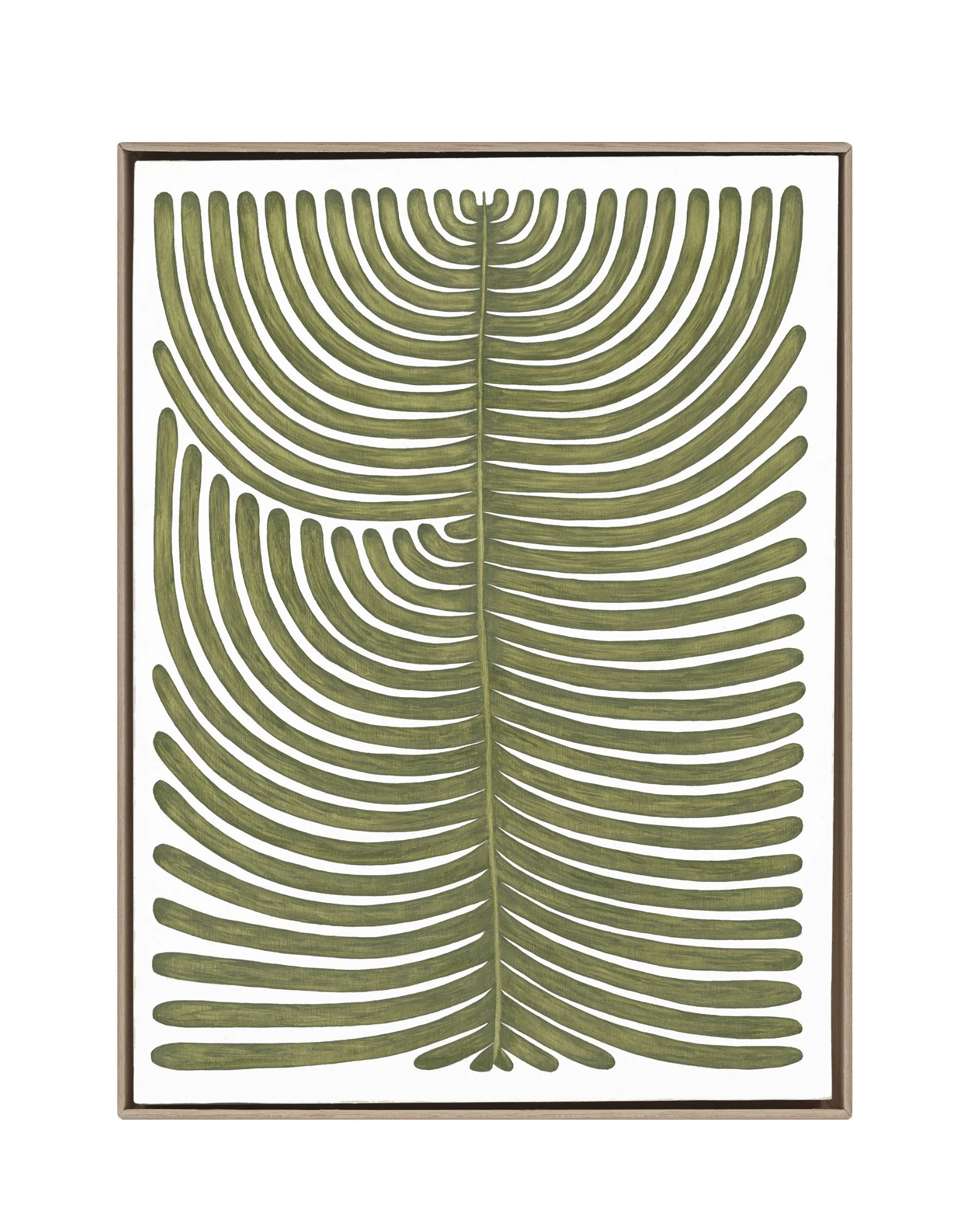 Polypodium Glycyrrhiza Duo