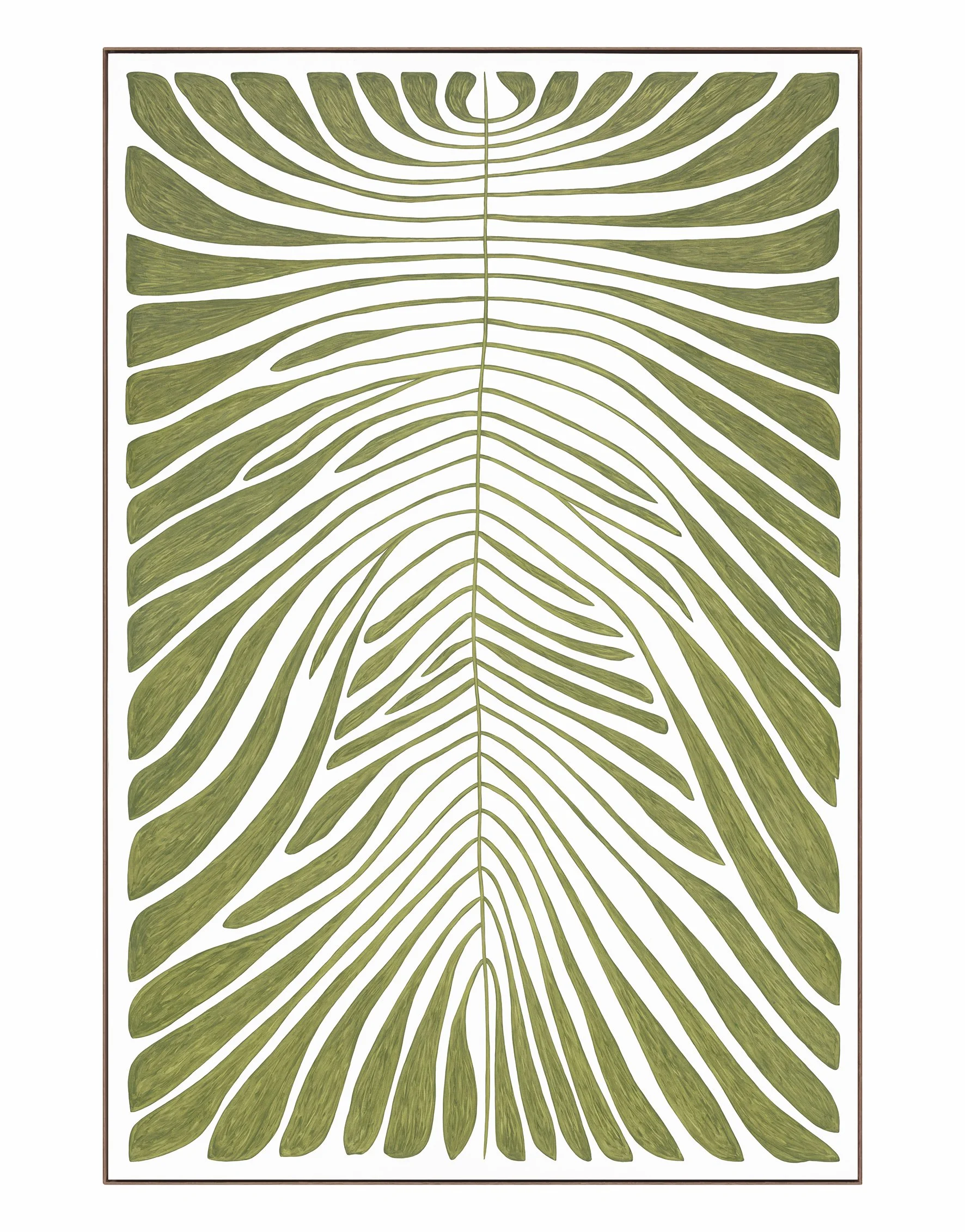 Dypsis Lutescens Magnum