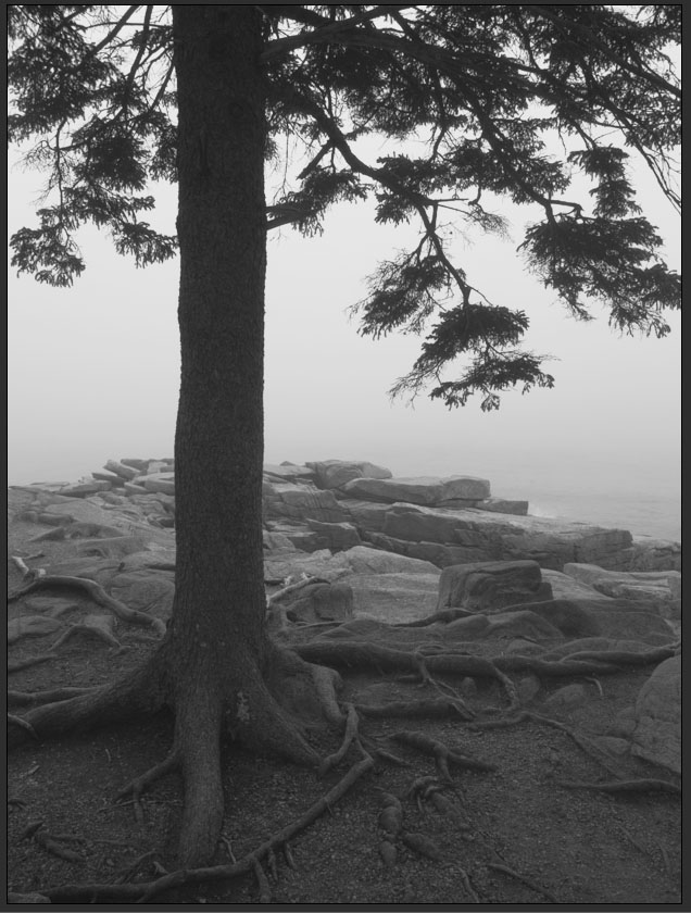 Maine 6 website .jpg