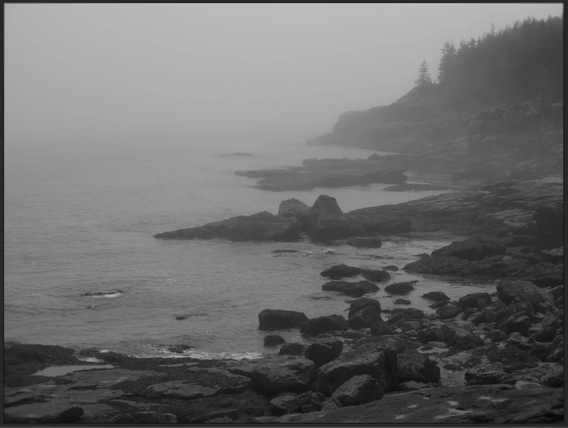Maine 8 website .jpg
