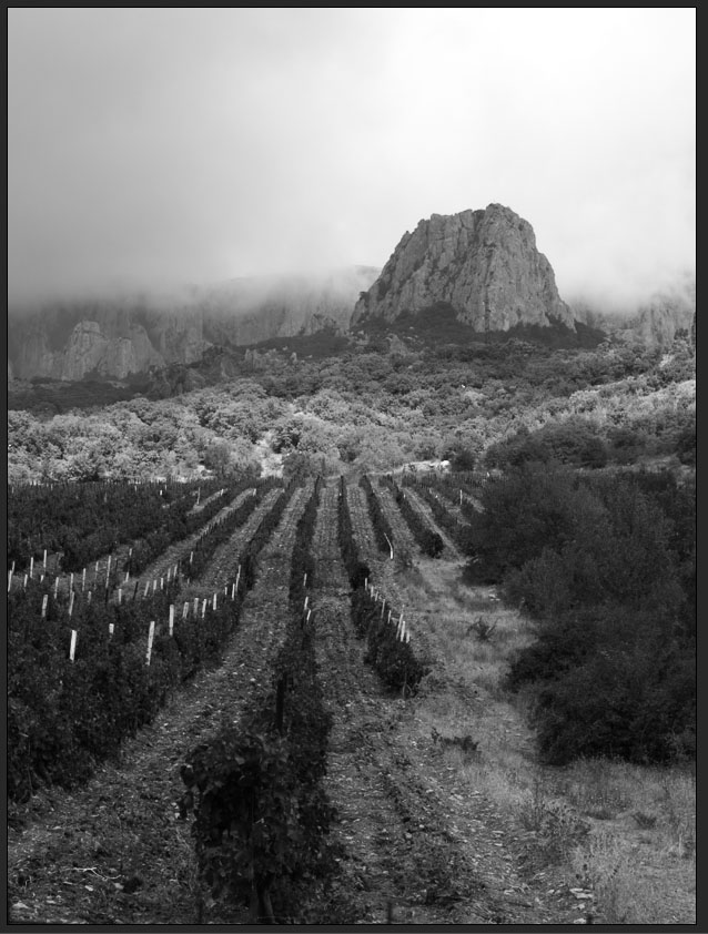 Crimea 9 website .jpg
