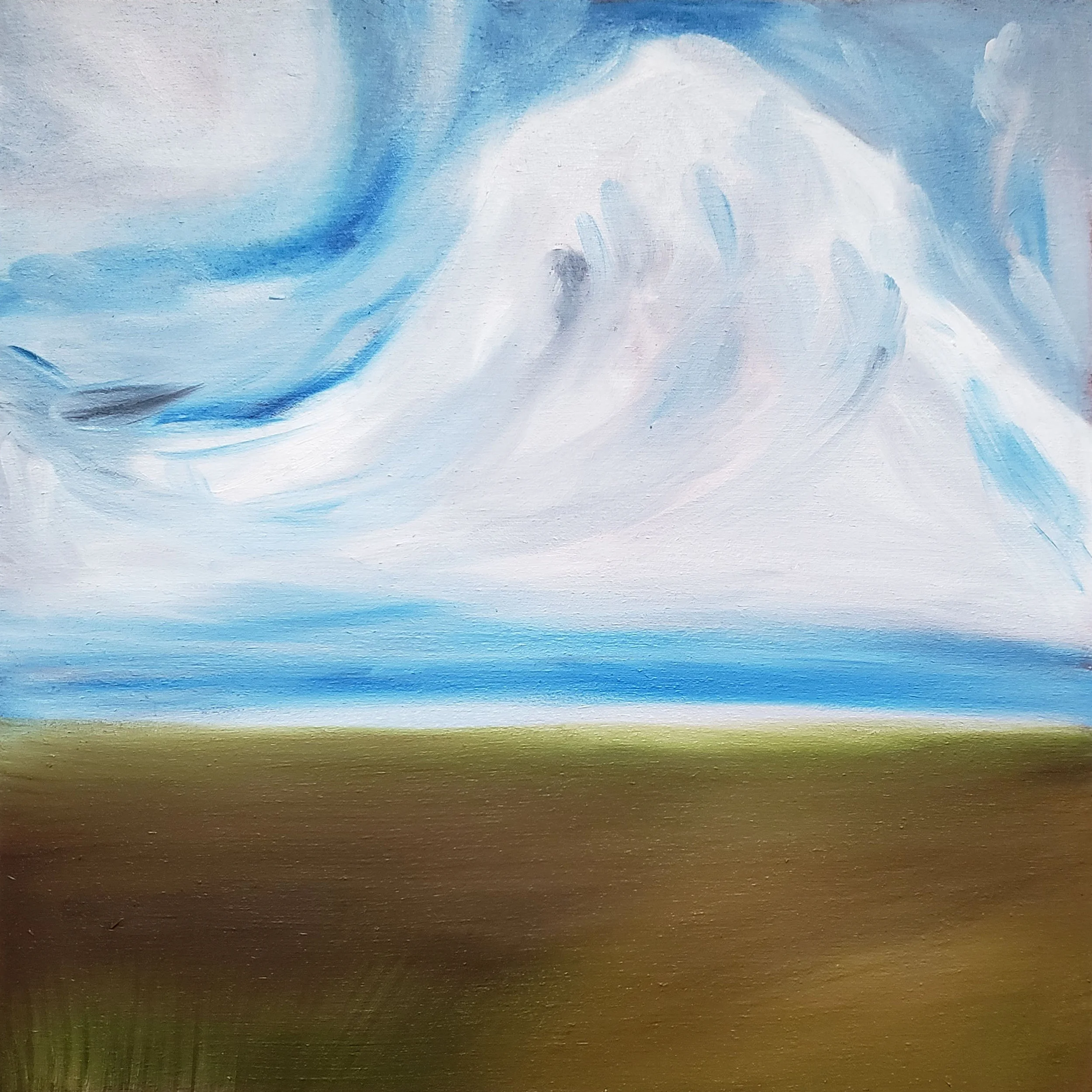 windswept grasslands 10x10.jpg