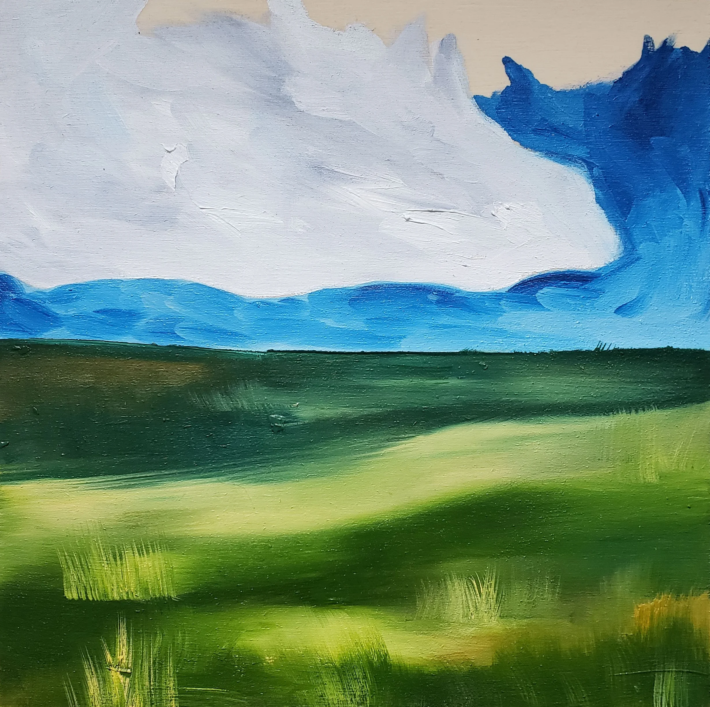 Blustery Pastures.jpg