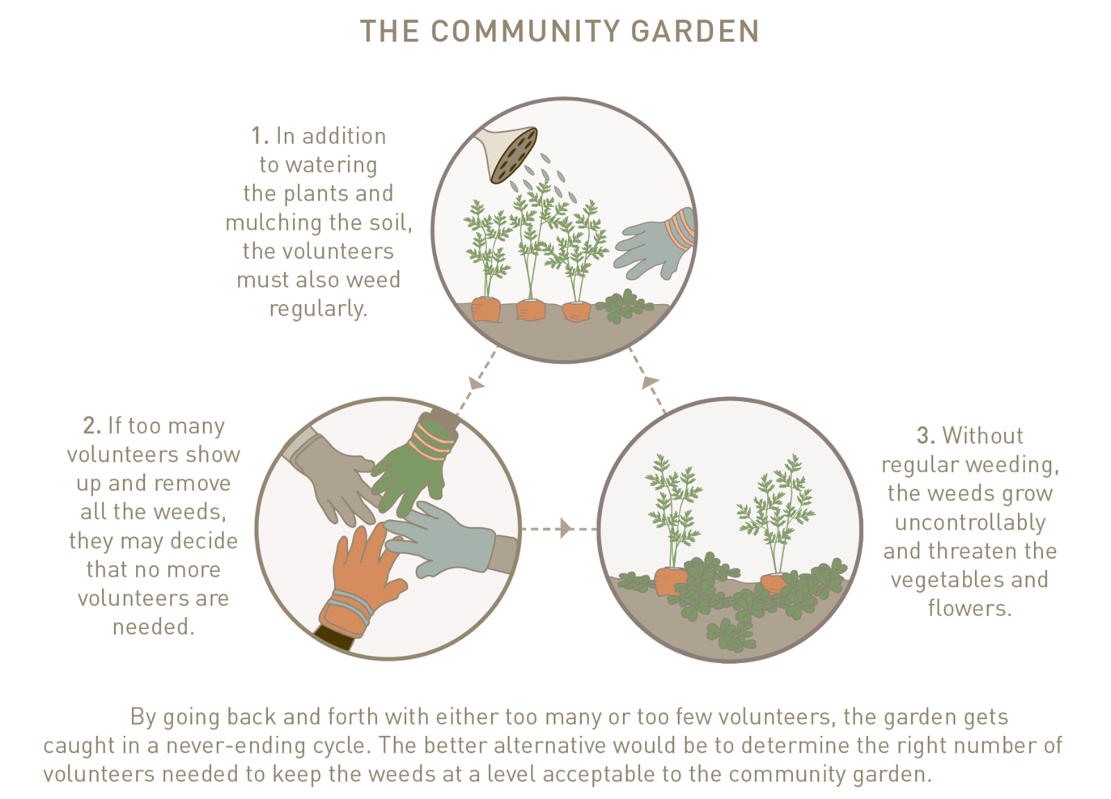 The Community Garden.png