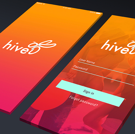 Portfolio_Hive.jpg