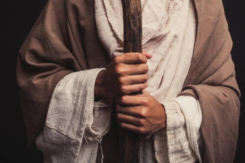 Who is Your Shepherd?