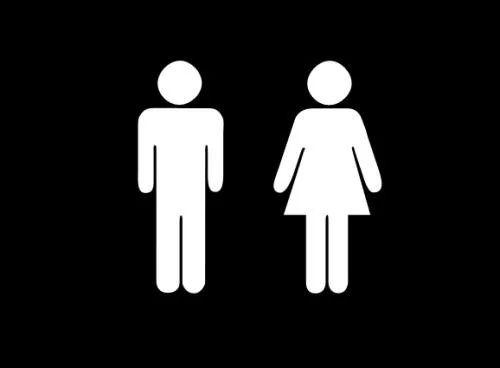 Sexual Wisdom for Life and Marriage
