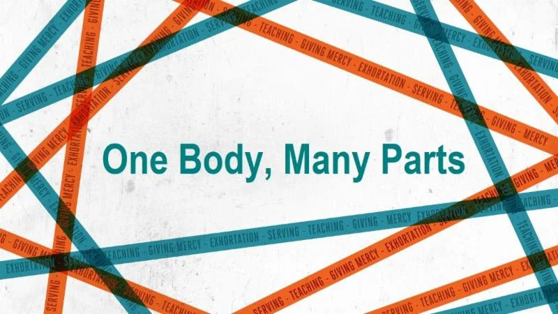 One Body, Many Parts