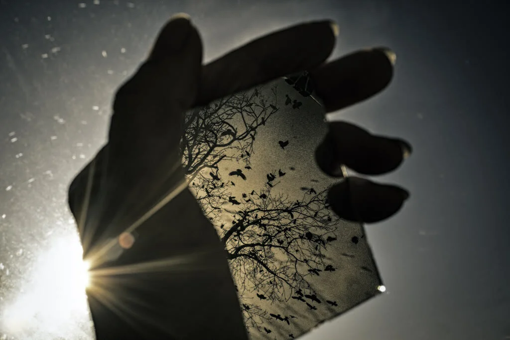 " A Mirror to the World"