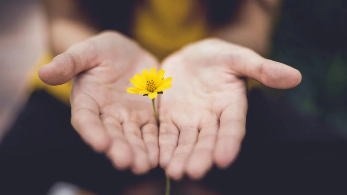 "Approaching and Appreciating Jesus"