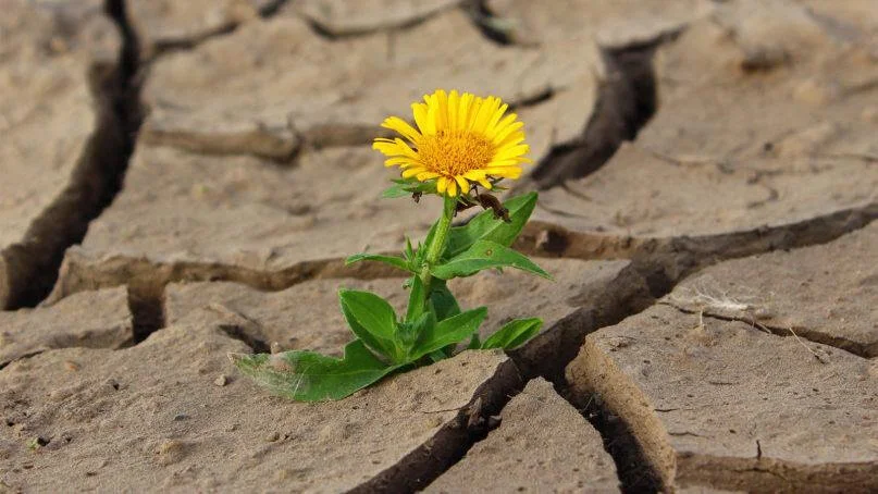" The Power to Bring You Hope"